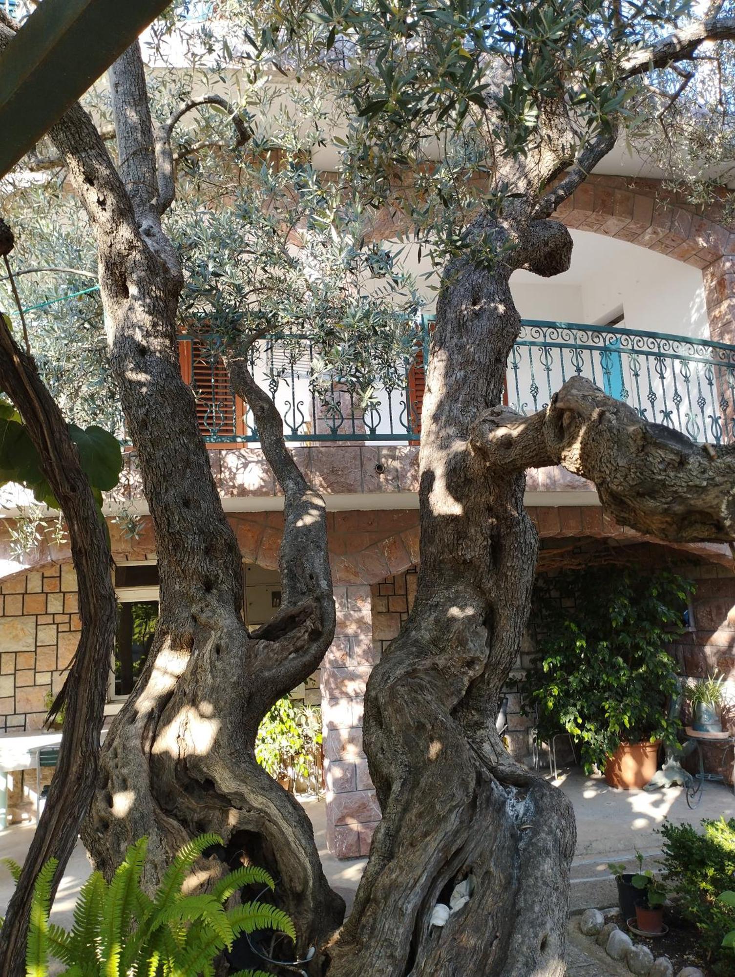 Zoro Apartments Sveti Stefan Cameră foto